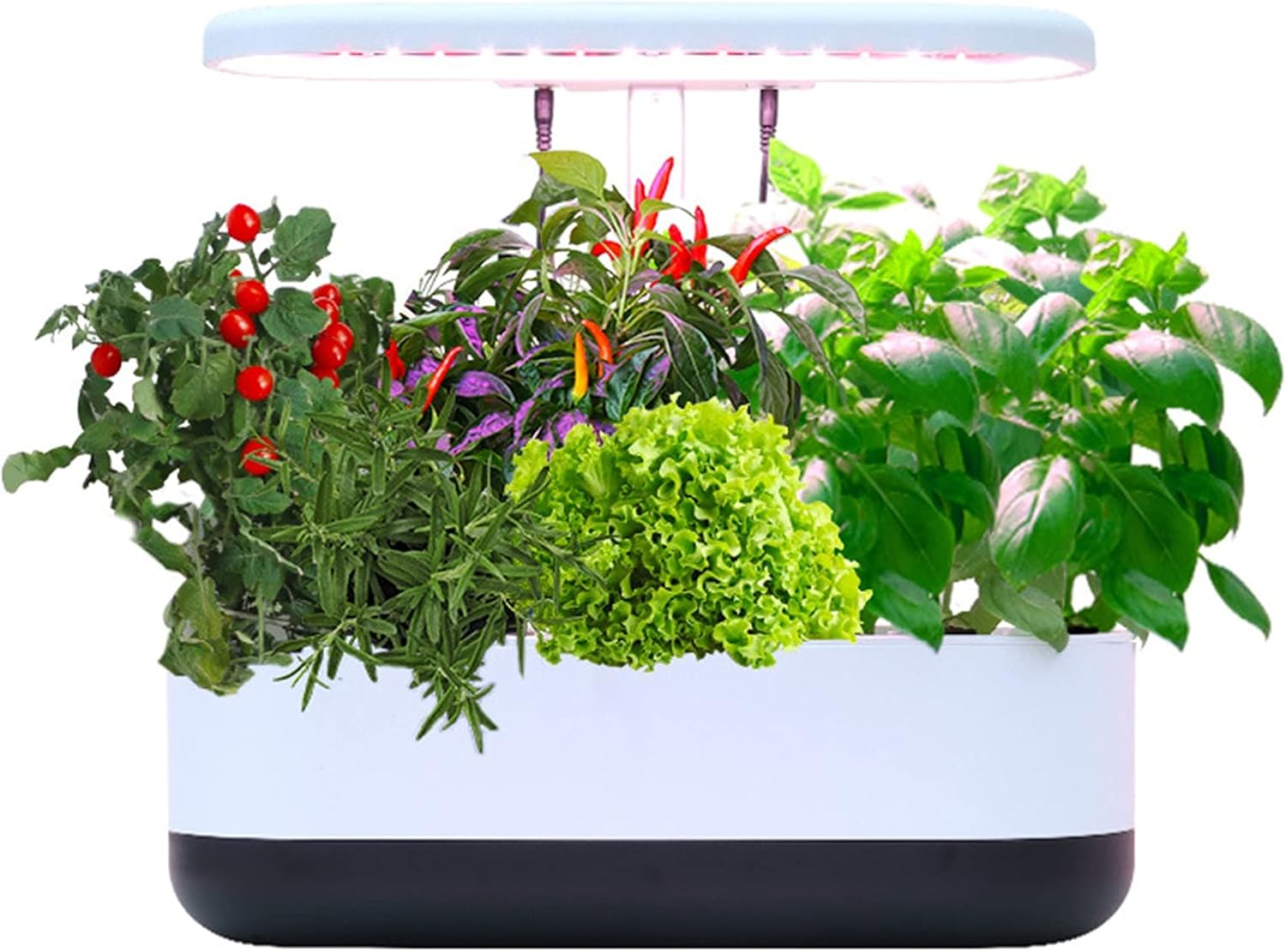 野菜と花の苗 上品 インテリジェントな植栽機 水耕栽培システム フルスペクトル成長光 風景ホーム水耕植物