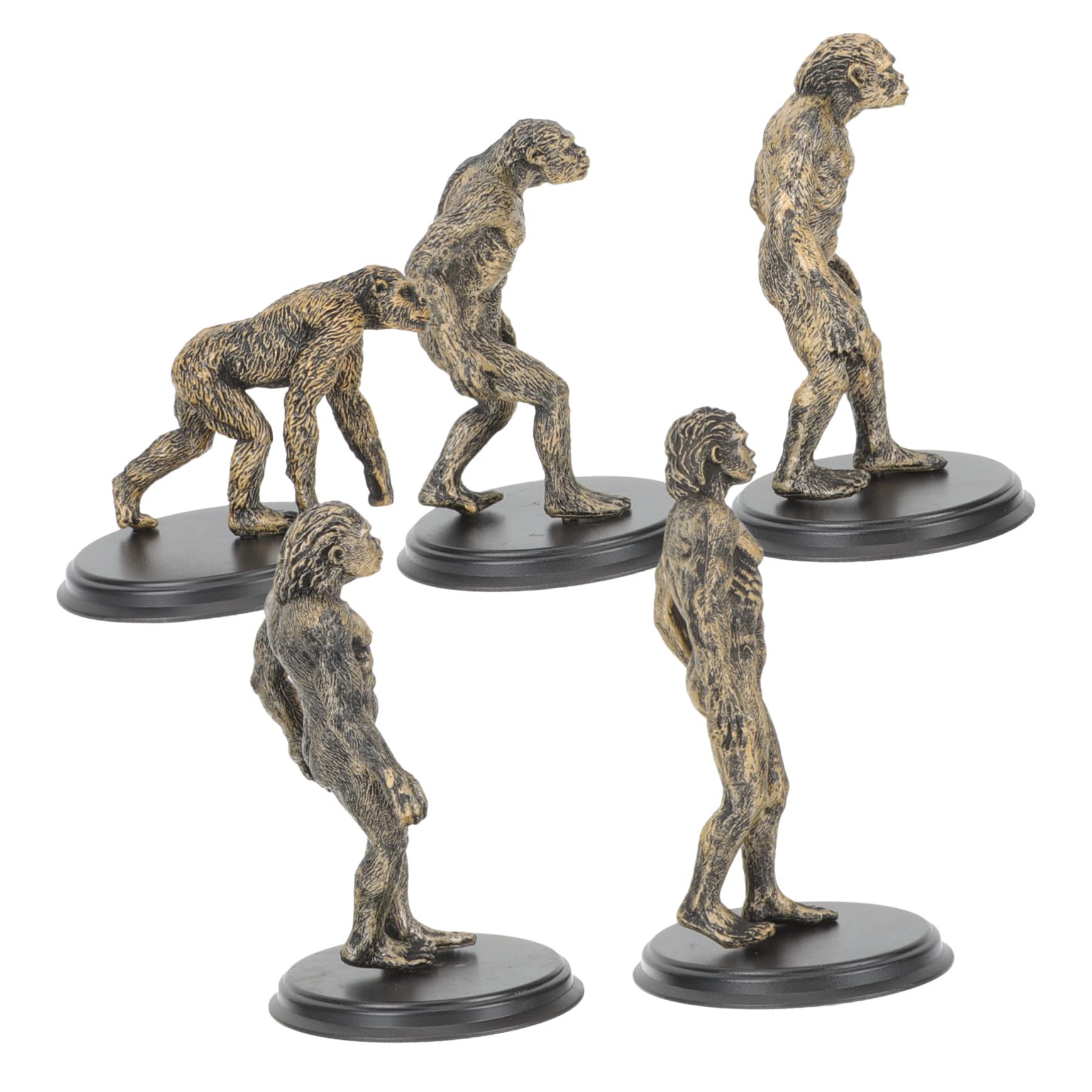 Amazon.co.jp: 1 セット 類人猿 進化 モデル 人間 原始的 フィギュア