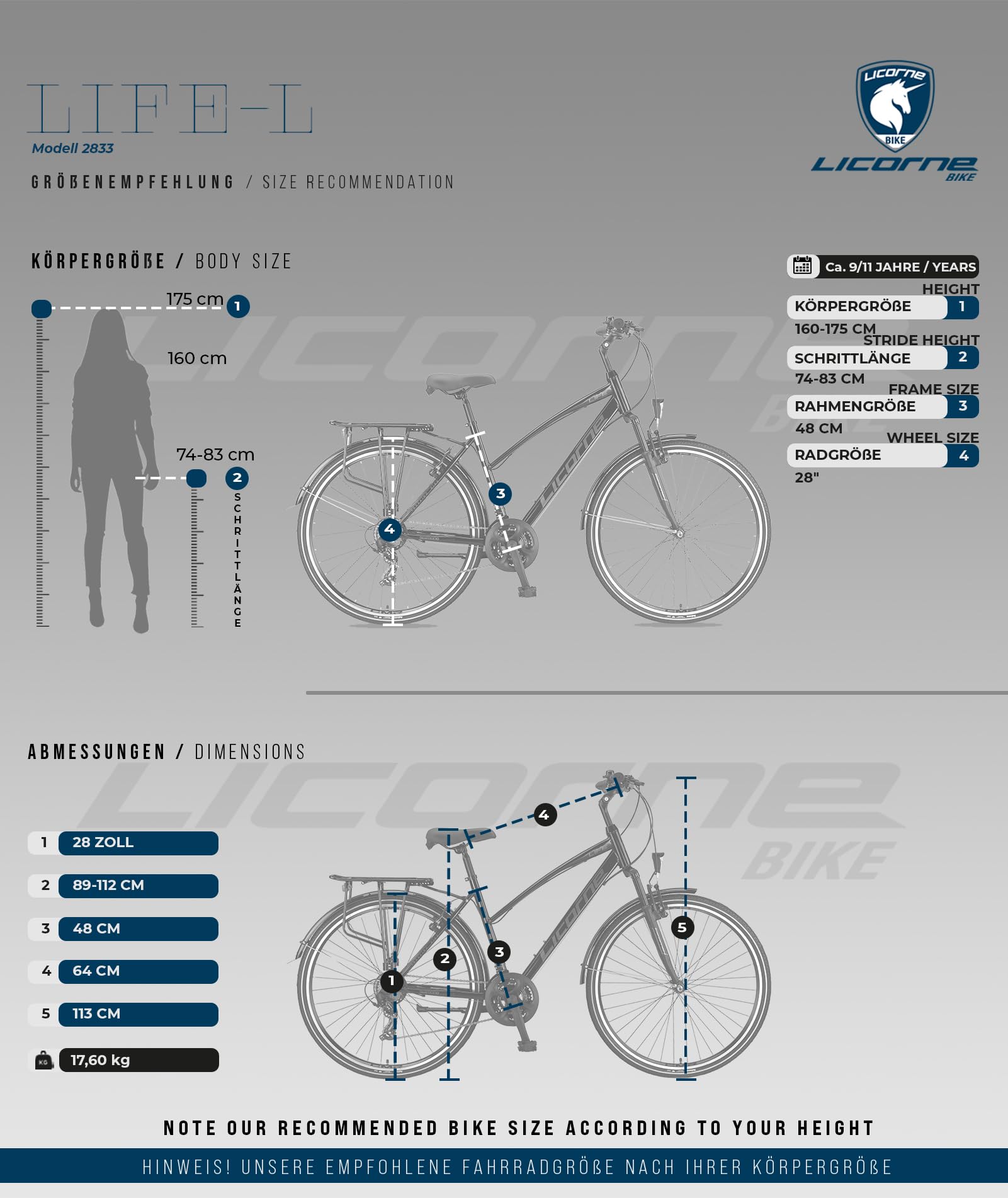 Licorne Bike Vélo de trekking de qualité supérieure de 28 pouces - Pour garçons, filles, femmes et hommes - Dérailleur Shimano 21 vitesses - VTT - Cross - Life-L-V.