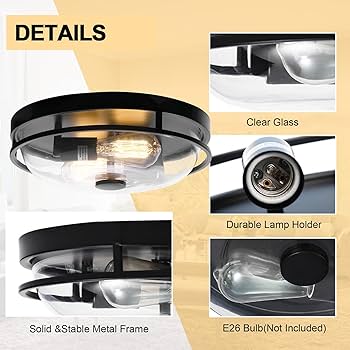 Luminzone Flush Mount Ceiling Light with Clear Glass Shade