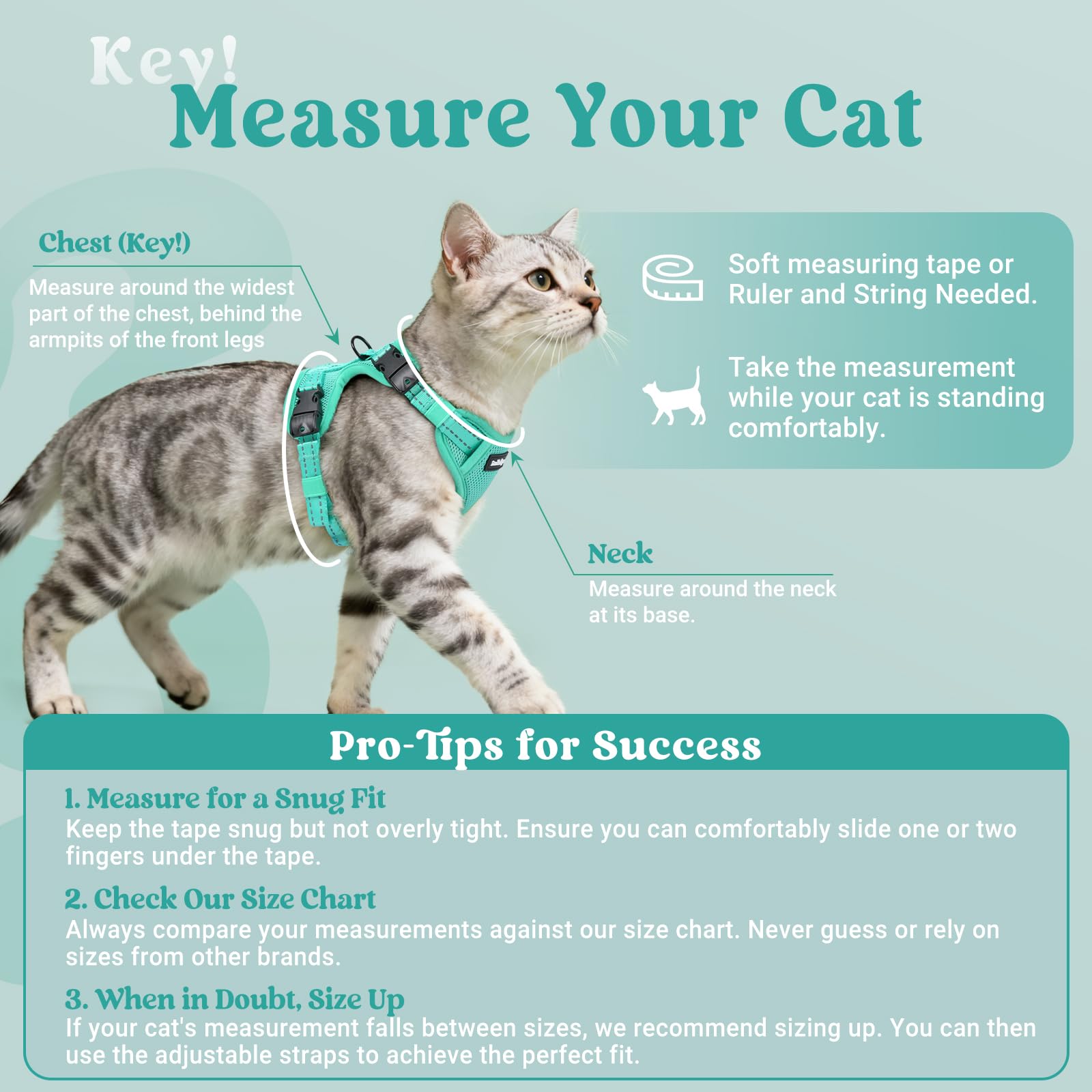 rabbitgoo Cat Harness and Leash, Escape Proof Vest with 3 Adjustable Buckles, Soft Comfortable Kitten Harness, Easy to Wear, Reflective for Safe Outdoor Walking, Medium, Green - 2