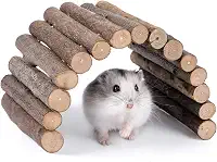 Ponte de madeira da Niteangel, brinquedo para roedores de hamster e ratos, brinquedo mastigável de animais pequenos