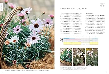 フローラ黒田園芸の草花図鑑（育て方・使い方がよくわかる