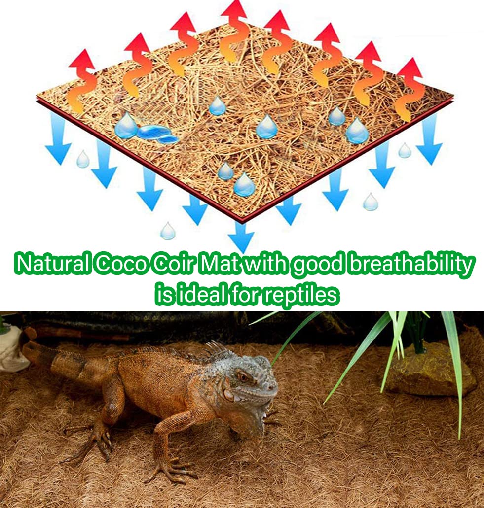 Lot 2 Rouleaux Paillage Fibre De Coco 30x100cm + 3 Disques - Protection Hivernale Plantes, Tapis Reptiles Naturels