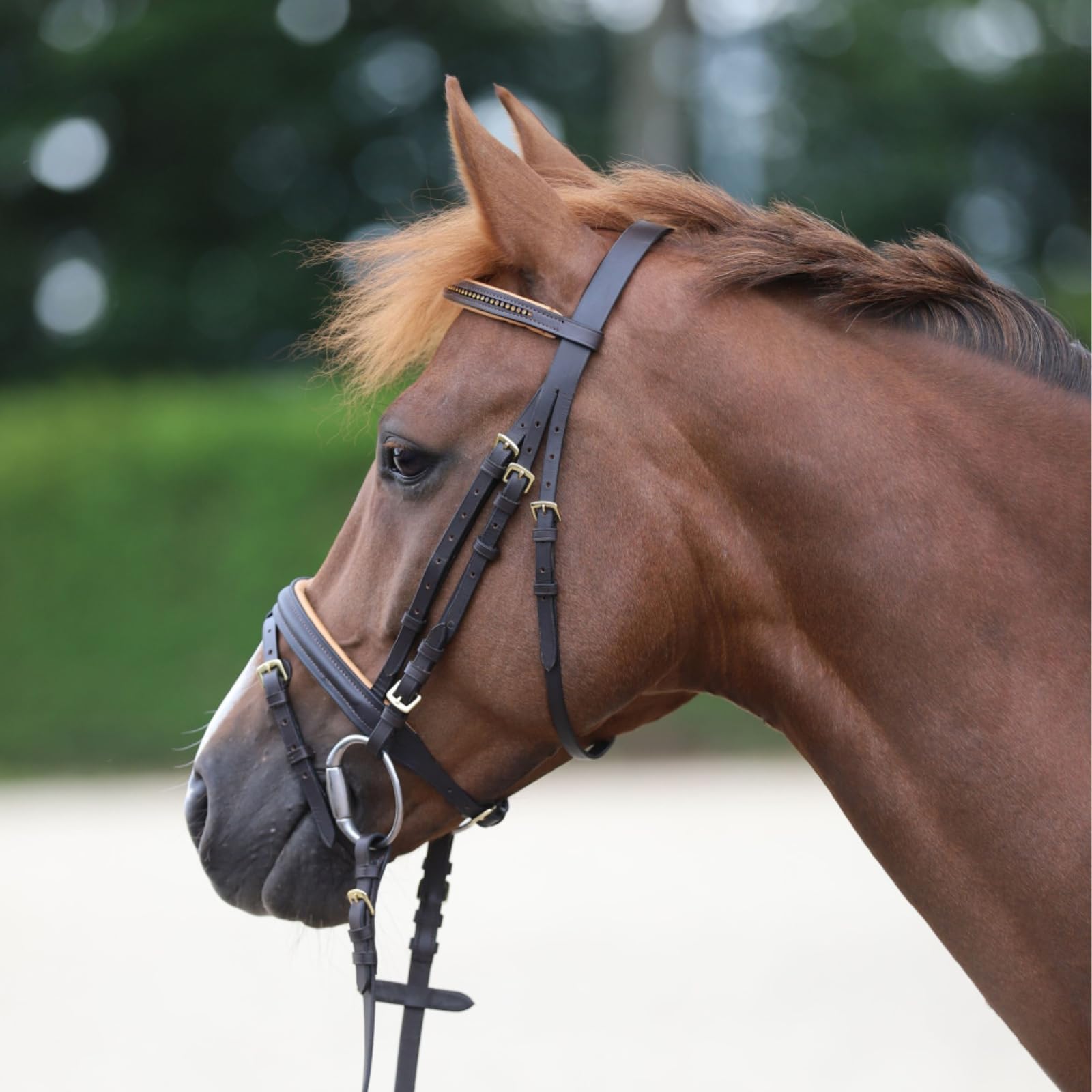Marengos - Trensenzaum englisch kombiniert Diamond Braun/Gold Pony