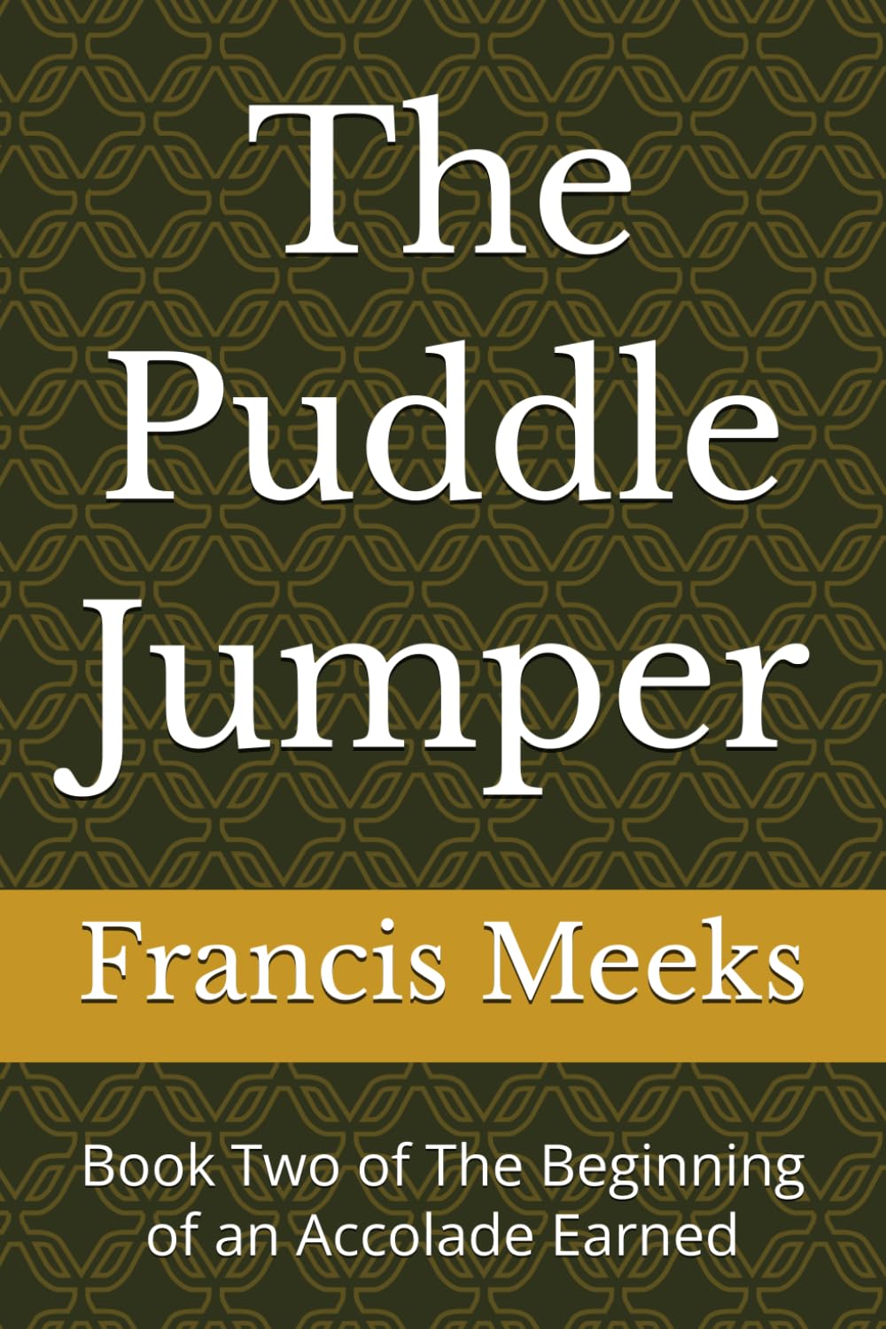 The Puddle Jumper: Book Two of The Beginning of an Accolade Earned: 2
