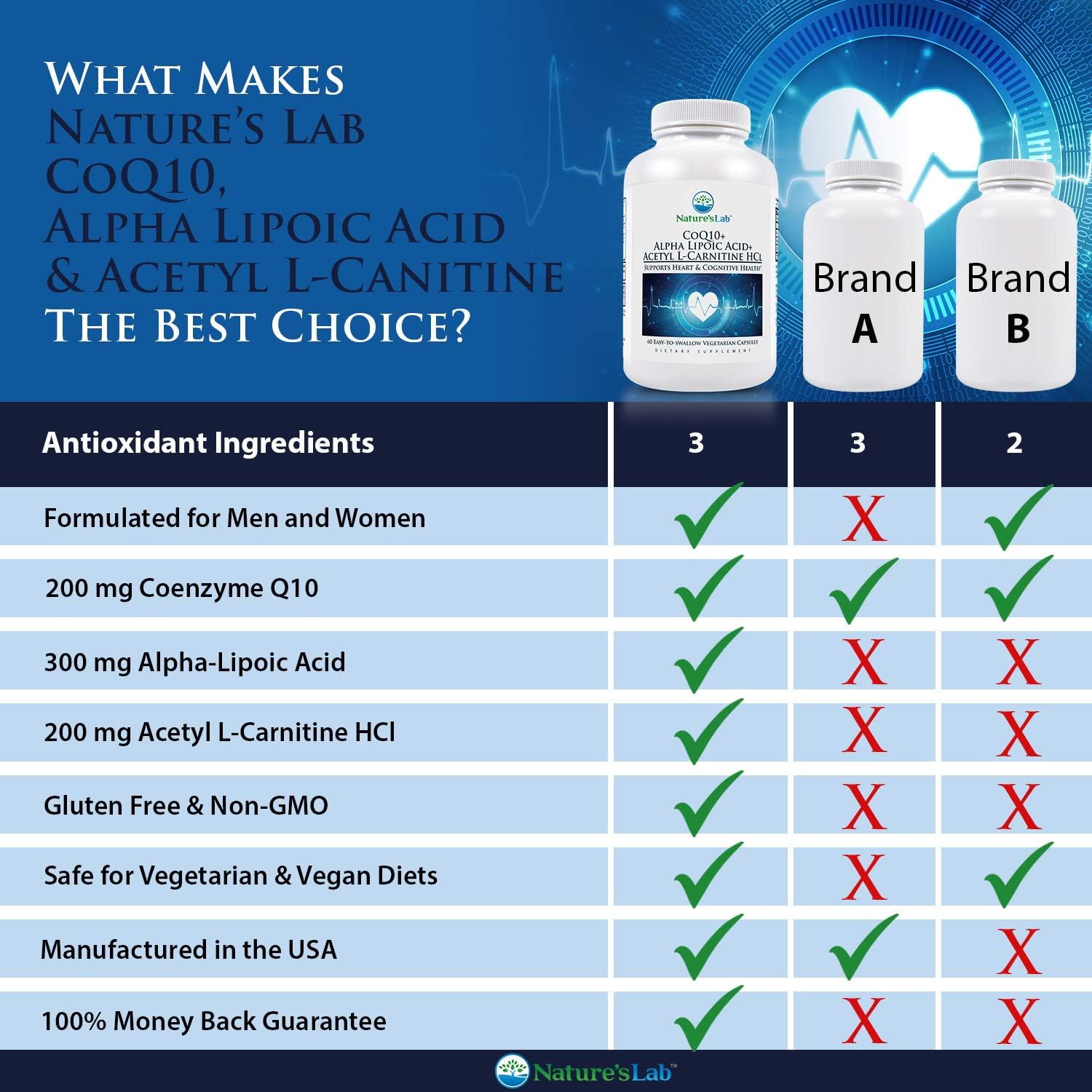Nature's Lab CoQ10 + Alpha Lipoic Acid + Acetyl L-Carnitine HCl - Supports Heart and Cognitive Health - 60 Capsules (1 Month Supply) : Health & Household