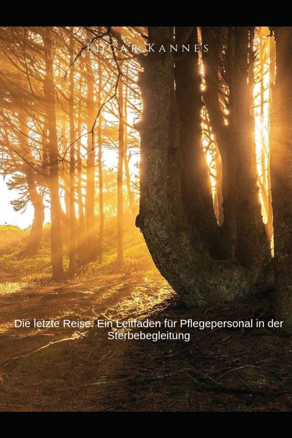 Die letzte Reise: Ein Leitfaden für Pflegepersonal in der Sterbebegleitung