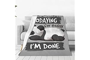 DLTND Panda Blanket: A Cozy Companion for Dreamers
