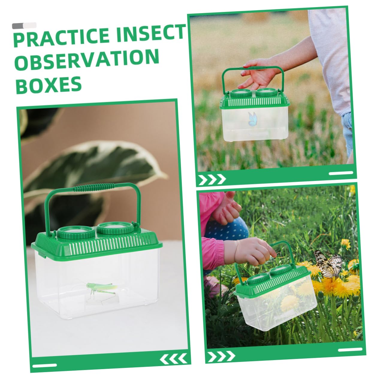OUNONA 6piezas Caja De Observación De y Aumento Para Exploración Infantil Contenedor Seguro y Práctico Para Observar