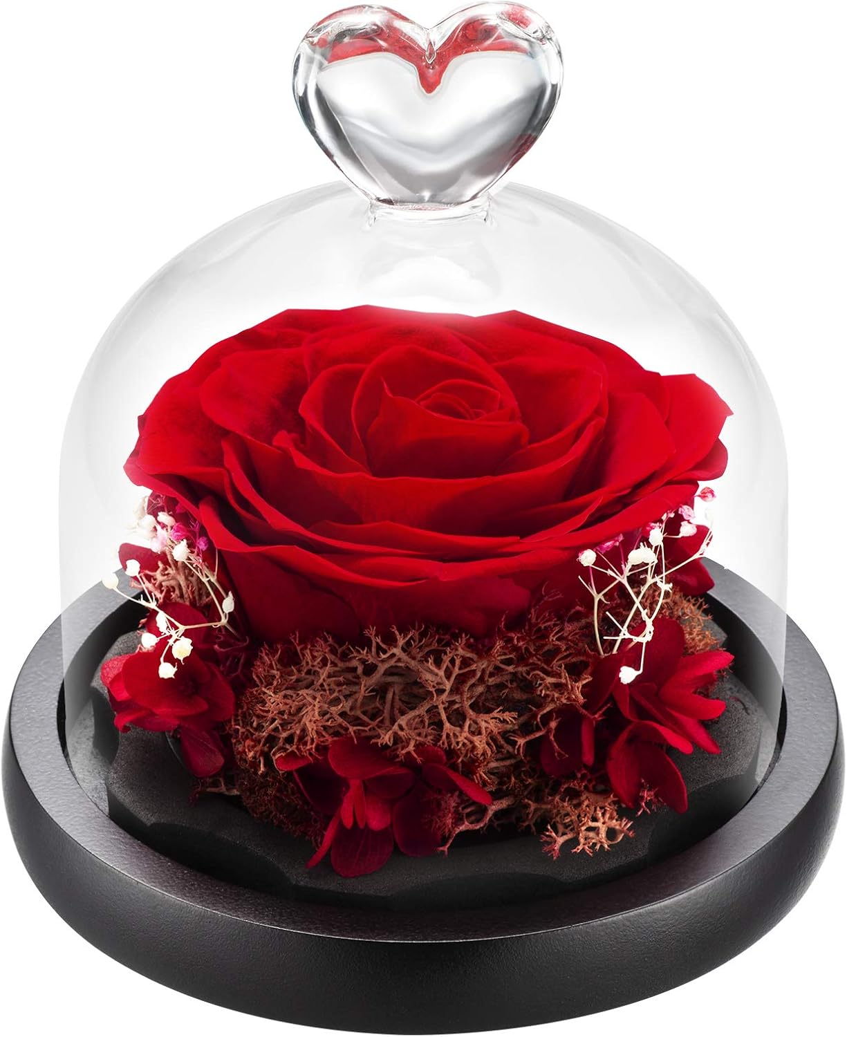 DuHouse Forever Roses Preserved Real Flowers Eternal