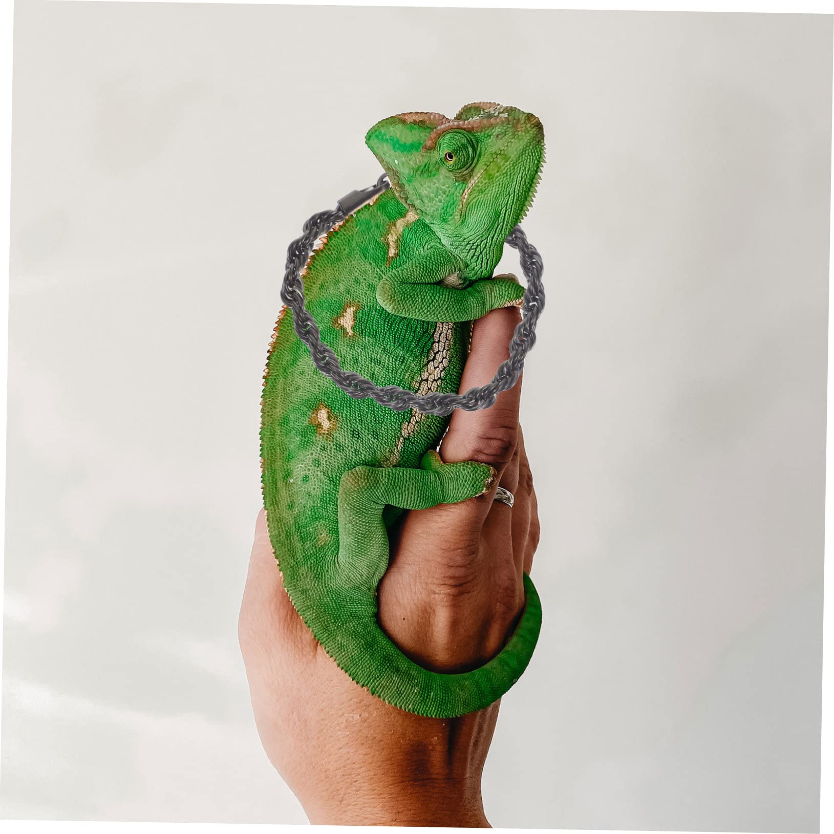 INOOMP 5sets Costumi Per Lizard Cosplay Corone e Collana Per Halloween Decorazioni Per Piccole Creature Accessori Per Rettili e Festive