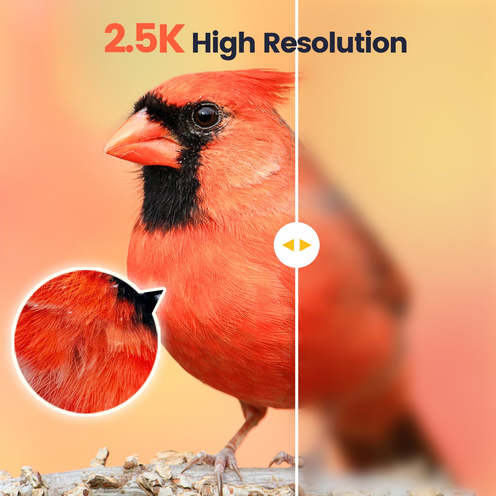 Mangiatoia intelligente per uccelli con fotocamera, ricarica solare a lunga durata, versione limitata Smart Bird Feeder, AI identifica oltre 16.000 specie di uccelli, scheda SD da 128 GB per