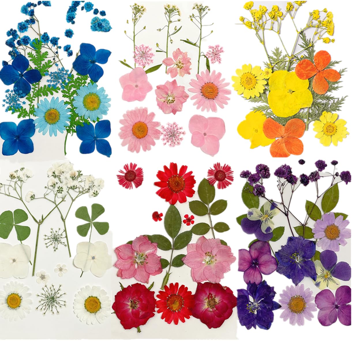 72 Piezas Flores Secas Naturales Mixtas Flores Secas Prensadas Kit de Hojas Secas Hierbas Naturales para Resina Álbumes de Recortes DIY Regalo Scrapbooking Joyas Uña Pendientes Arte
