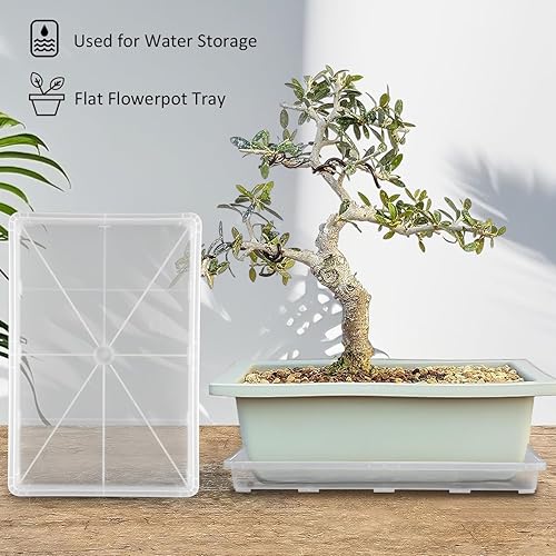 Vista 39 de Paquete de 5 bandejas para macetas de guardería, bandeja de transporte y sujeción para plantas para maceta, soporte de transporte de 24 celdas