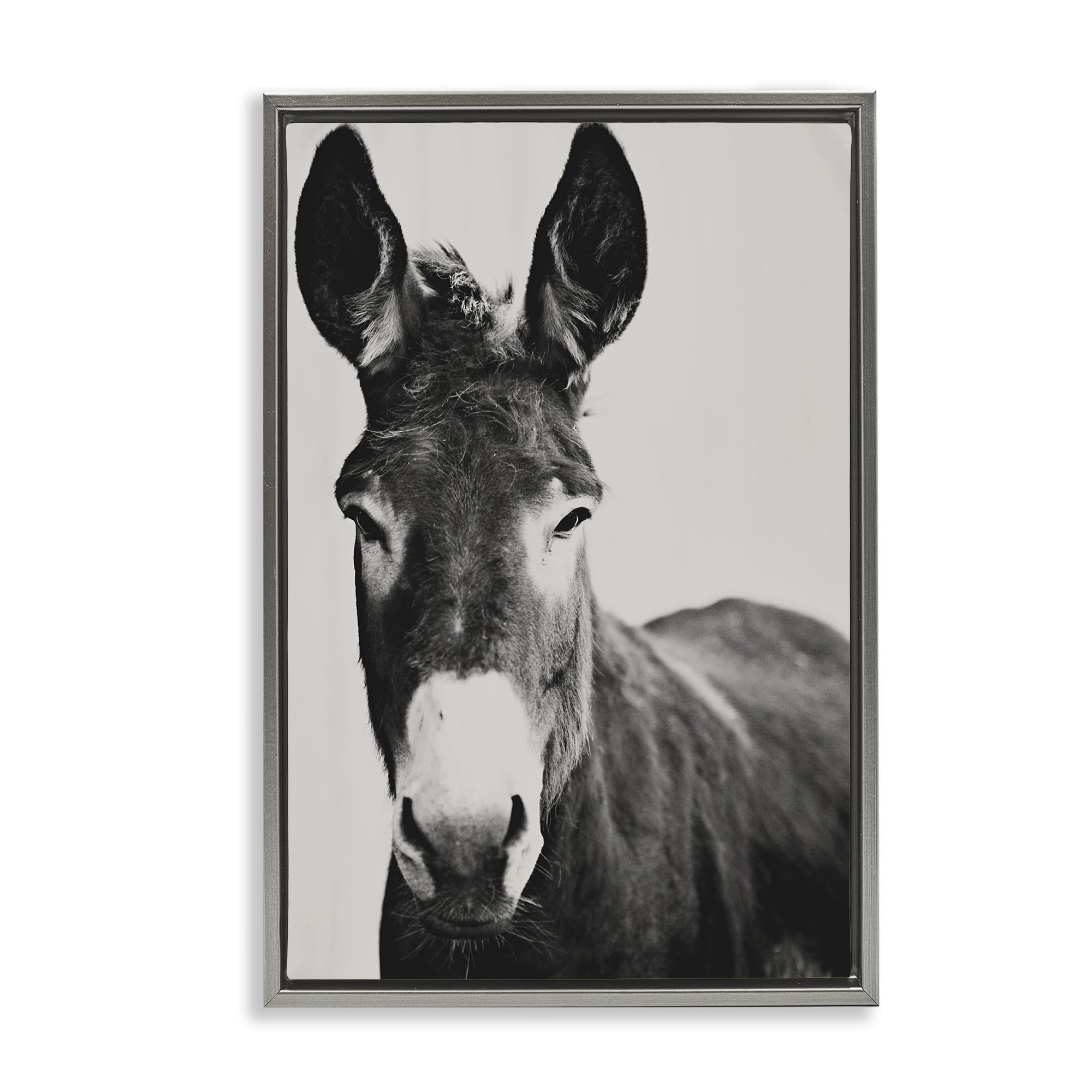 Stupell Industries Luster Gray (Matte) 'Franz The Donkey Portrait'| Floating Frame Canvas Art