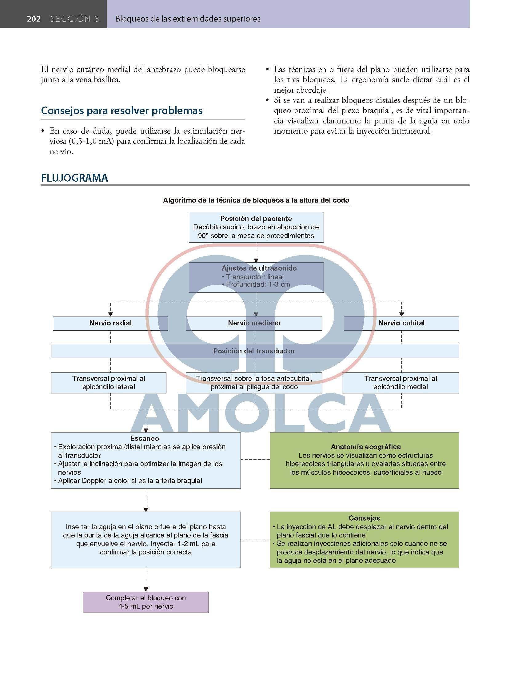 Bloqueos Nerviosos Periféricos y Anatomía para Anestesia Regional Guiada por Ecografía de HADZIC