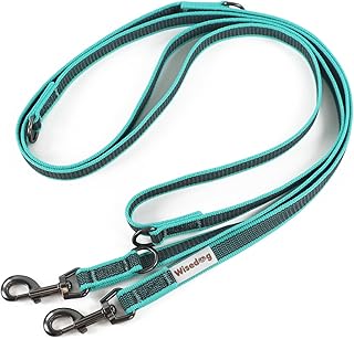 Wisedog 3m Seegrün doppelendige gummierte Hundeleine Leichtgewichtige Hands Free Leine für Hund rutschfeste Hands Free Hundeleine Fit für Spaziergänge Laufen Camping