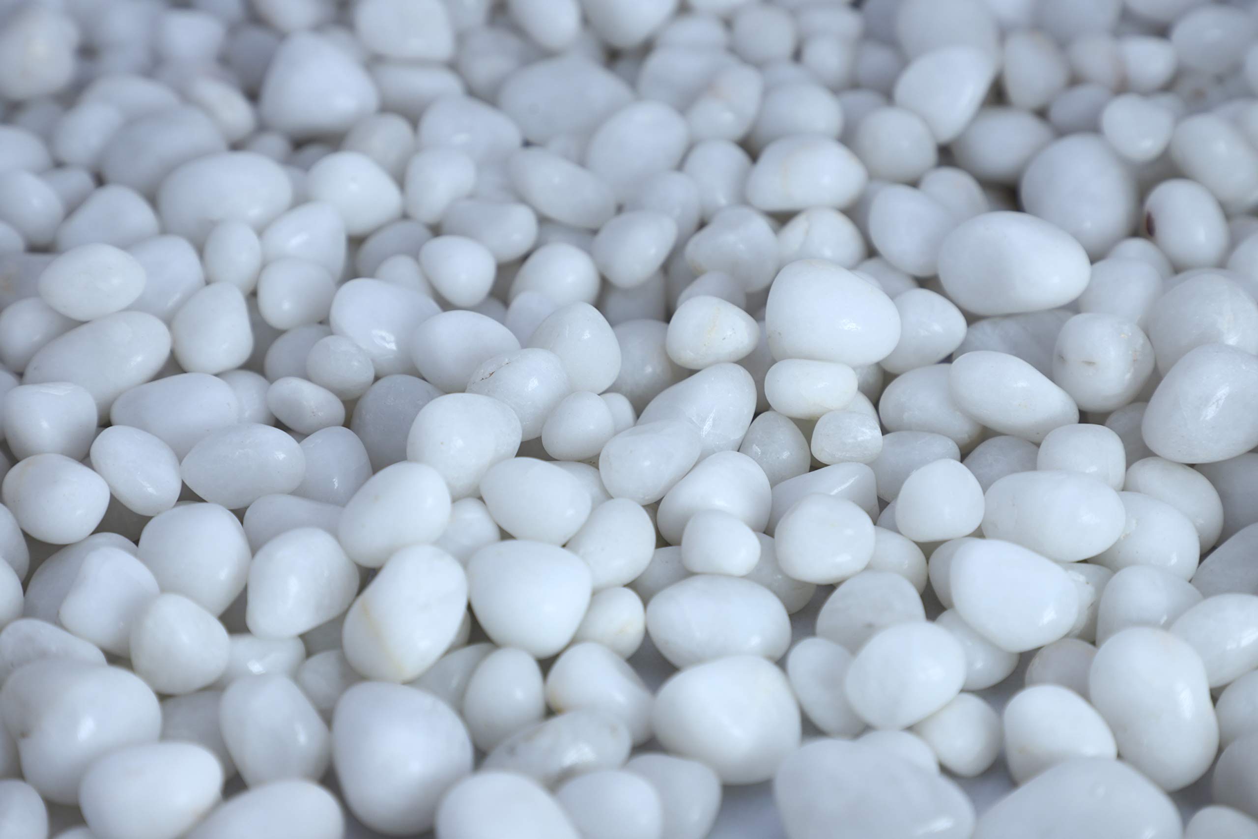 Pebblo® Small Super Polished White Natural Stone Pebbles (1950 GMS) - Decorative Pebbles for Home and Office Décor (B08XNS7BVW) Amazon Price History, Amazon Price Tracker