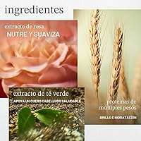 Vista 4 de Pureology Hydrate Shampoo - For Dry or Color Treated Hair, Moisturizing Shampoo For Hydration & Softness, With Rose Extract & Green Tea, Vegan &