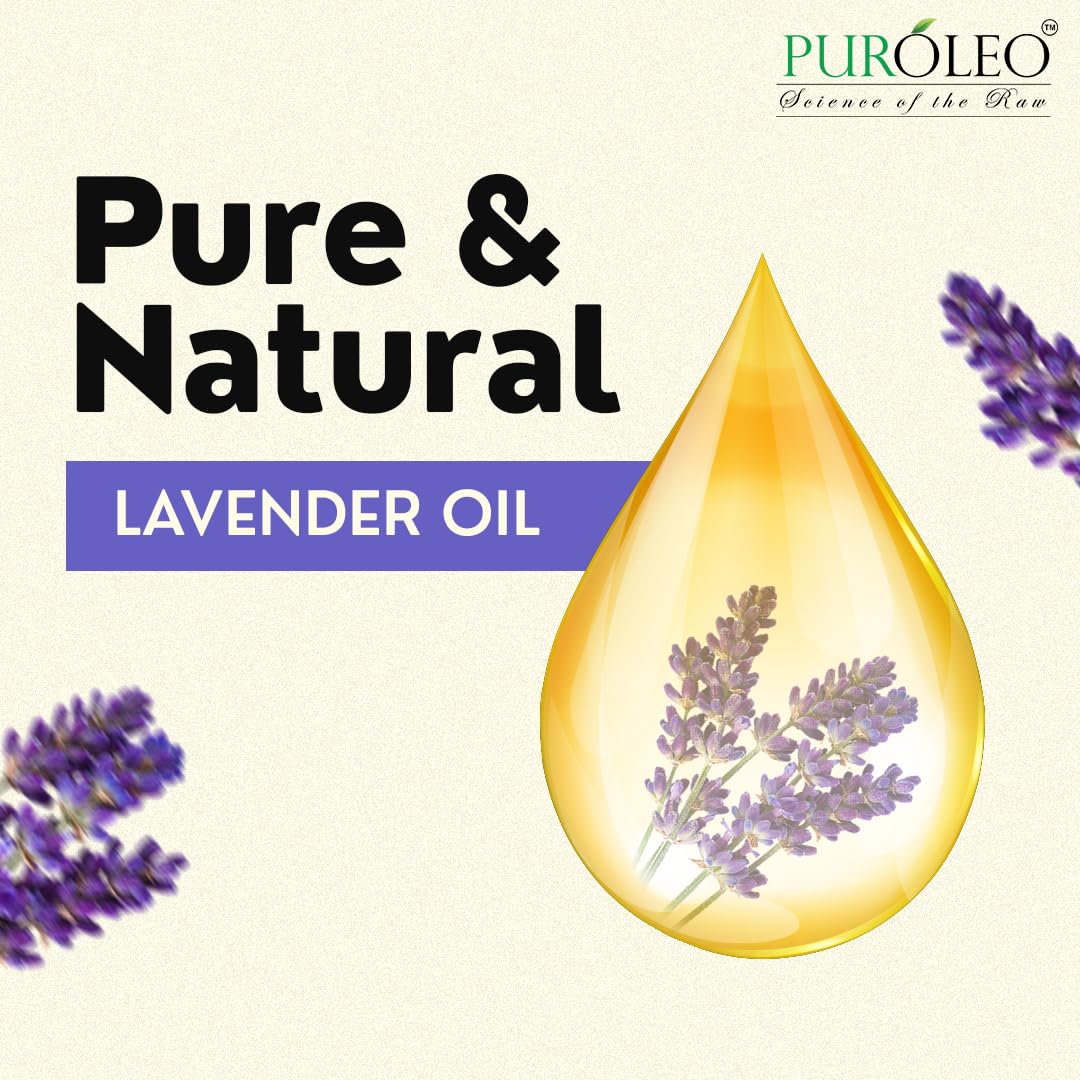 PUROLEO - Aceite esencial de lavanda (fabricado en Canadá) natural sin diluir prensado en frío para aromaterapia, aceite de aromaterapia de grado terapéutico para dormir, relajación, Bulgaria Francia