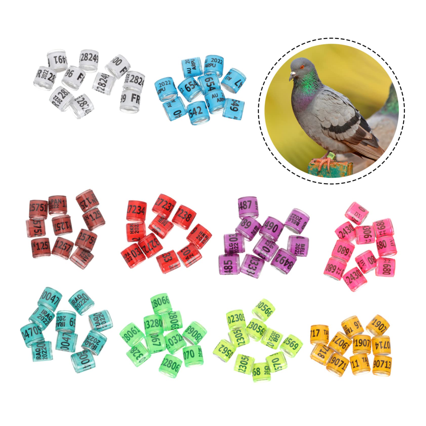 BESPORTBLE 300pezzi Anelli Identificativi per Piccioni Alluminio Colorati per Addestramento e Monitoraggio Volatili Resistente e Riutilizzabile