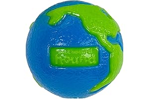 Outward Hound Snoop Dogg Squeaky Dog Toy