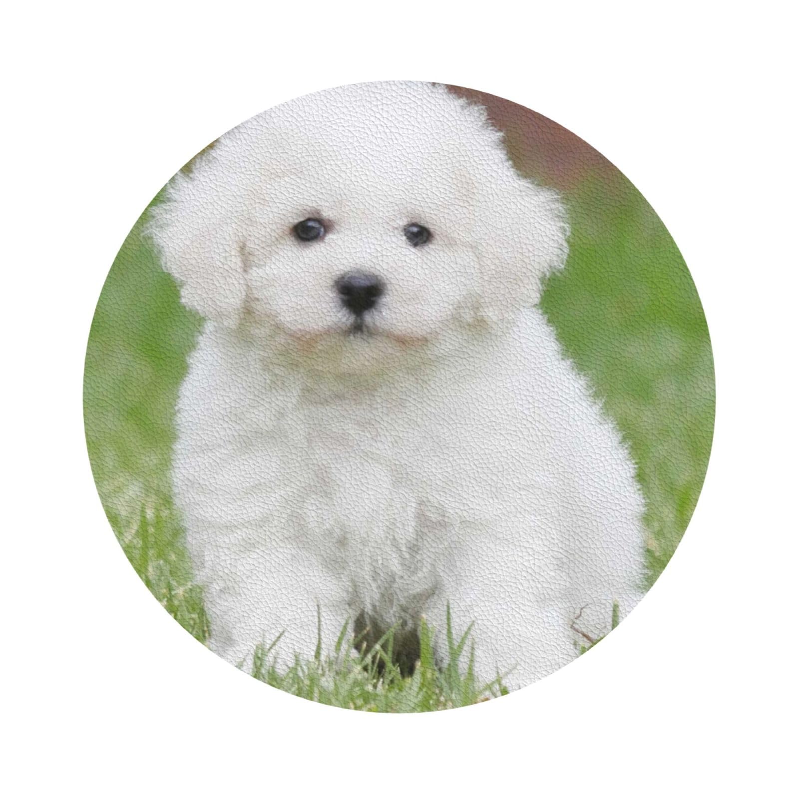 Bichon Frise Dog PU Leather Coasters Set of 6 Round Drink Coasters