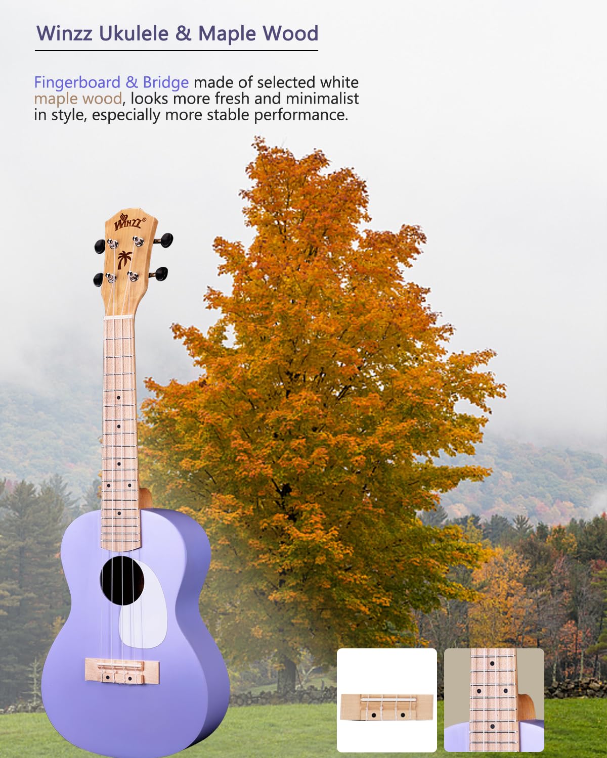 Winzz Ukulélé Enfants Concert Ukulélé Adulte Kit Débutant 23 Pouces avec 9 Accessoires, Petit Débutant Guitare Enfant 4 Cordes (Color : Violet, Bois)