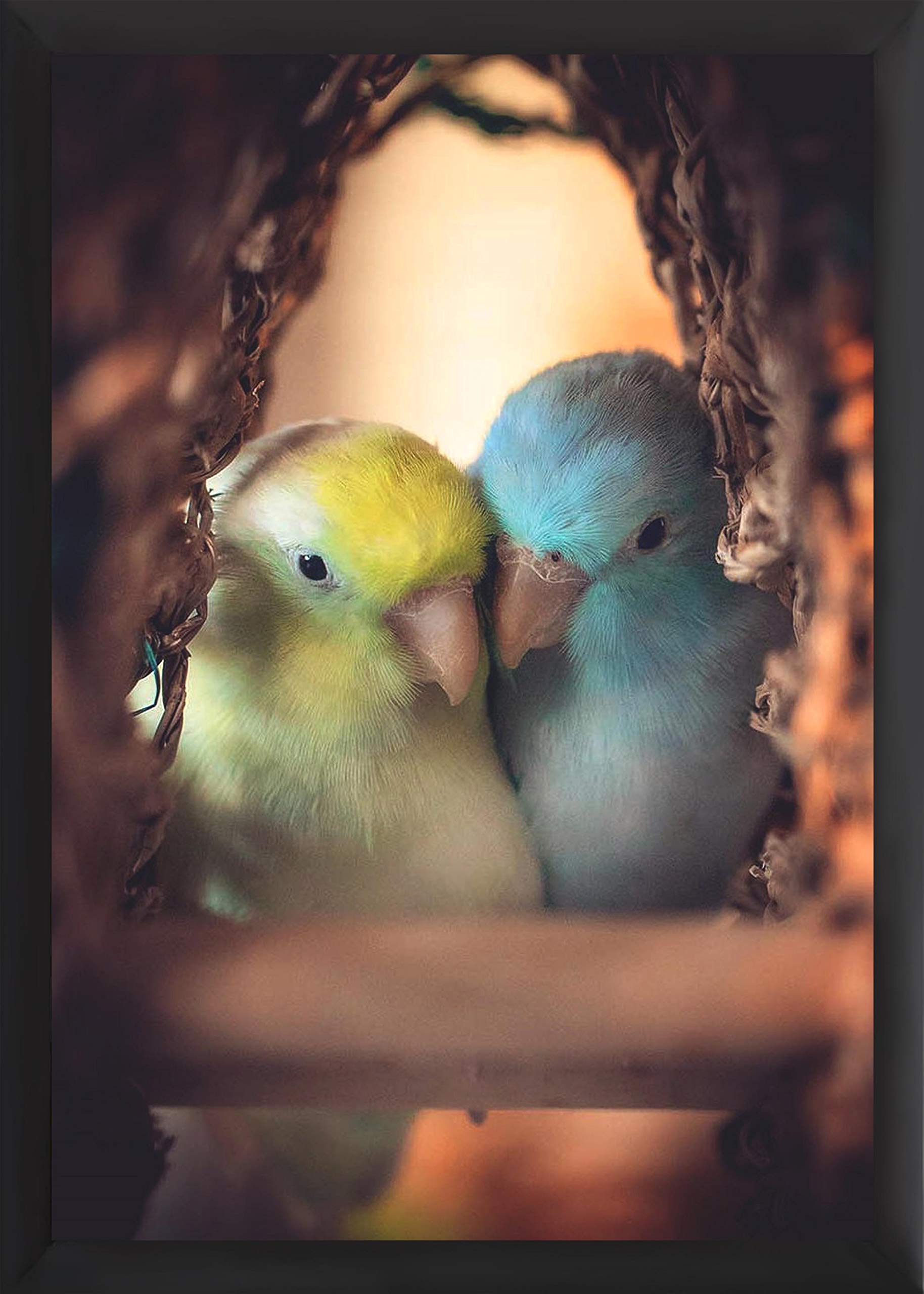 ROSE CLIO Love Birds Poster with Frame for Living Room, Bed Room, Office and Home Decor © (Frame 13X10 Inches, Poster Size:12X9 Inches, Black)