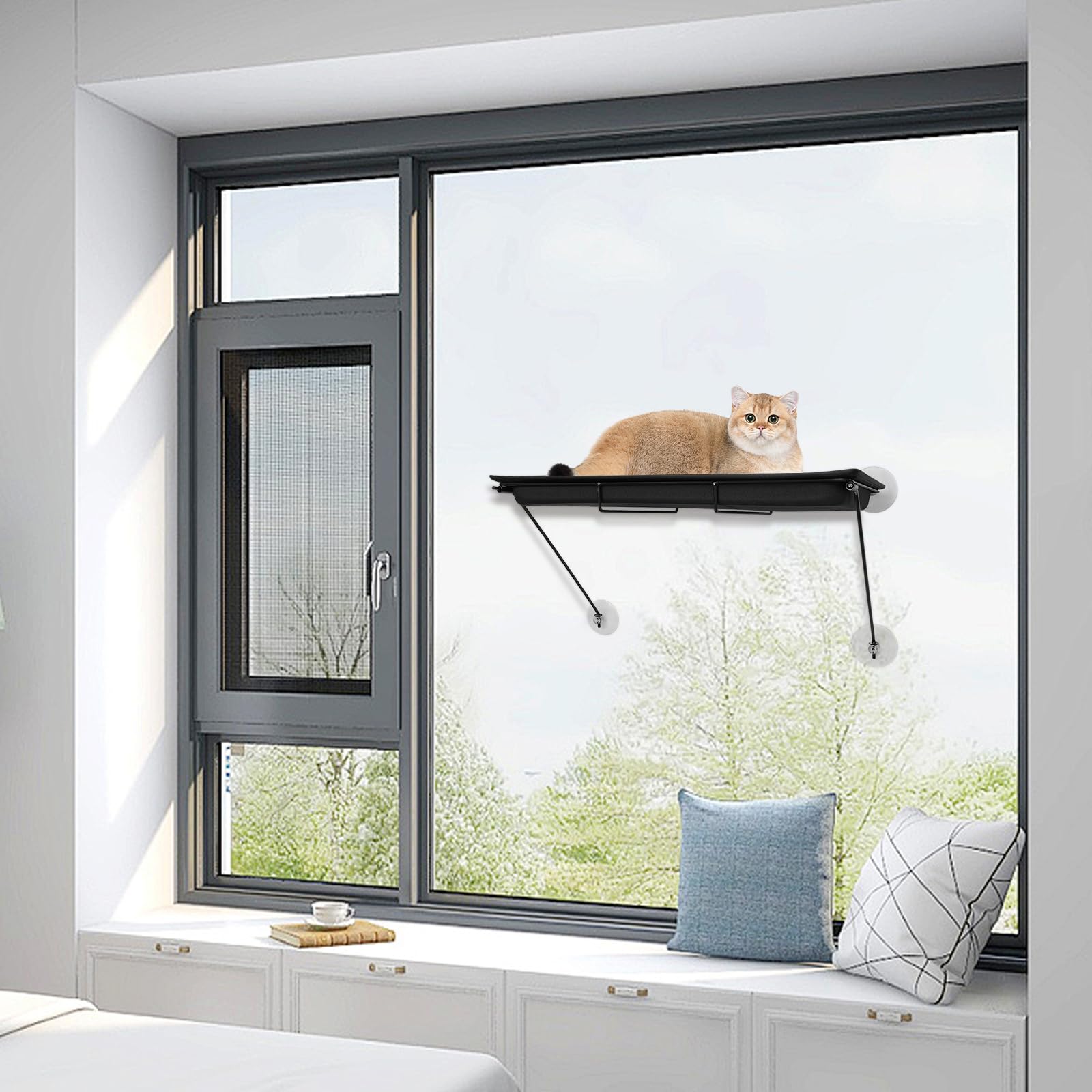 Hamac de fenêtre pour chat monté sur la fenêtre - Baignoire pour chat - Jusqu'à 15 kg - Stable avec 4 ventouses - Café - 60 x 32 x 35 cm