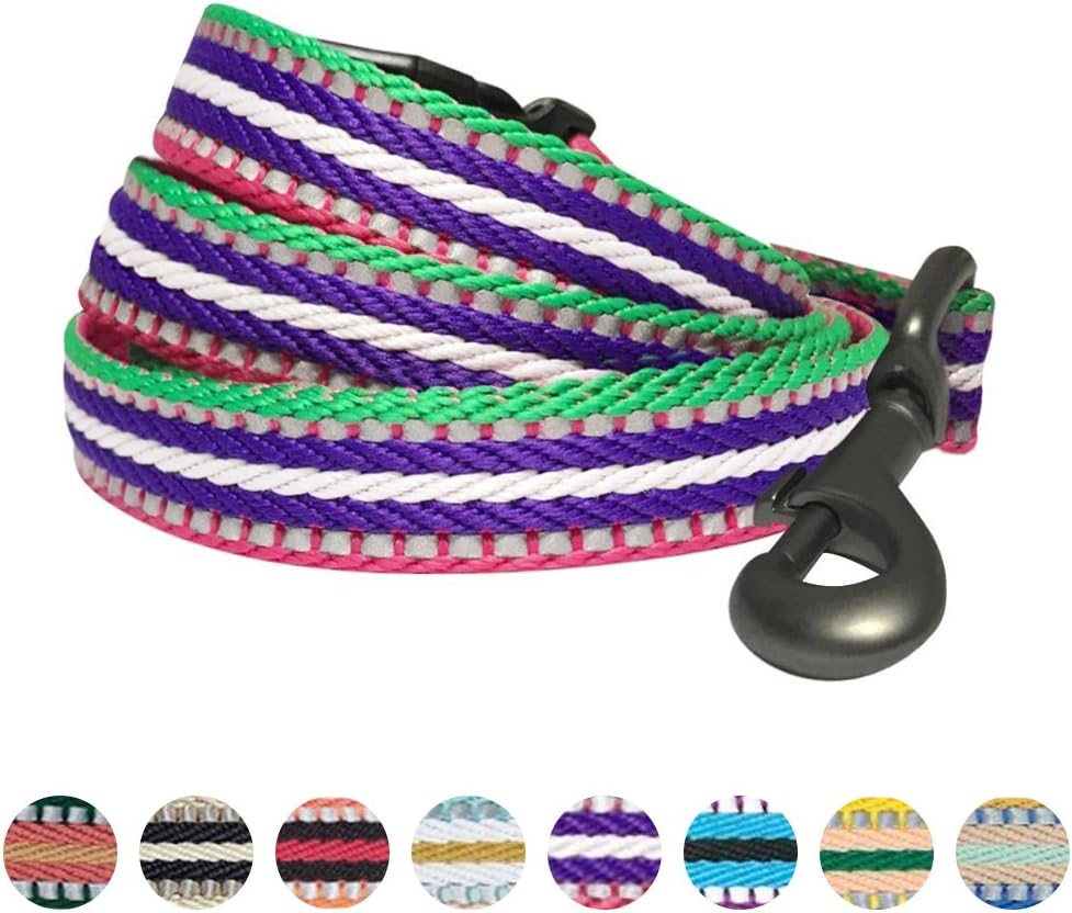 Blueberry Pet Reflective Dog Leash - Puppy Essentials, Gentle Leader for Dogs, Reflective Dog Collar & Leash, Eco-Friendly, Durable Nylon, Comfortable Handle for Active Pet Parents & Dogs that Pull