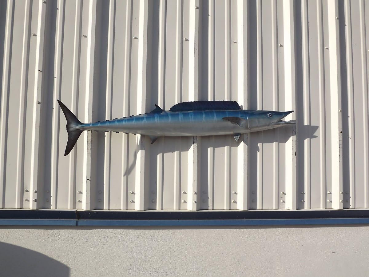 Wahoo Wall Mount – 53 Inch Half Mount Fish Replica for Fishing & Coastal Wall Decor