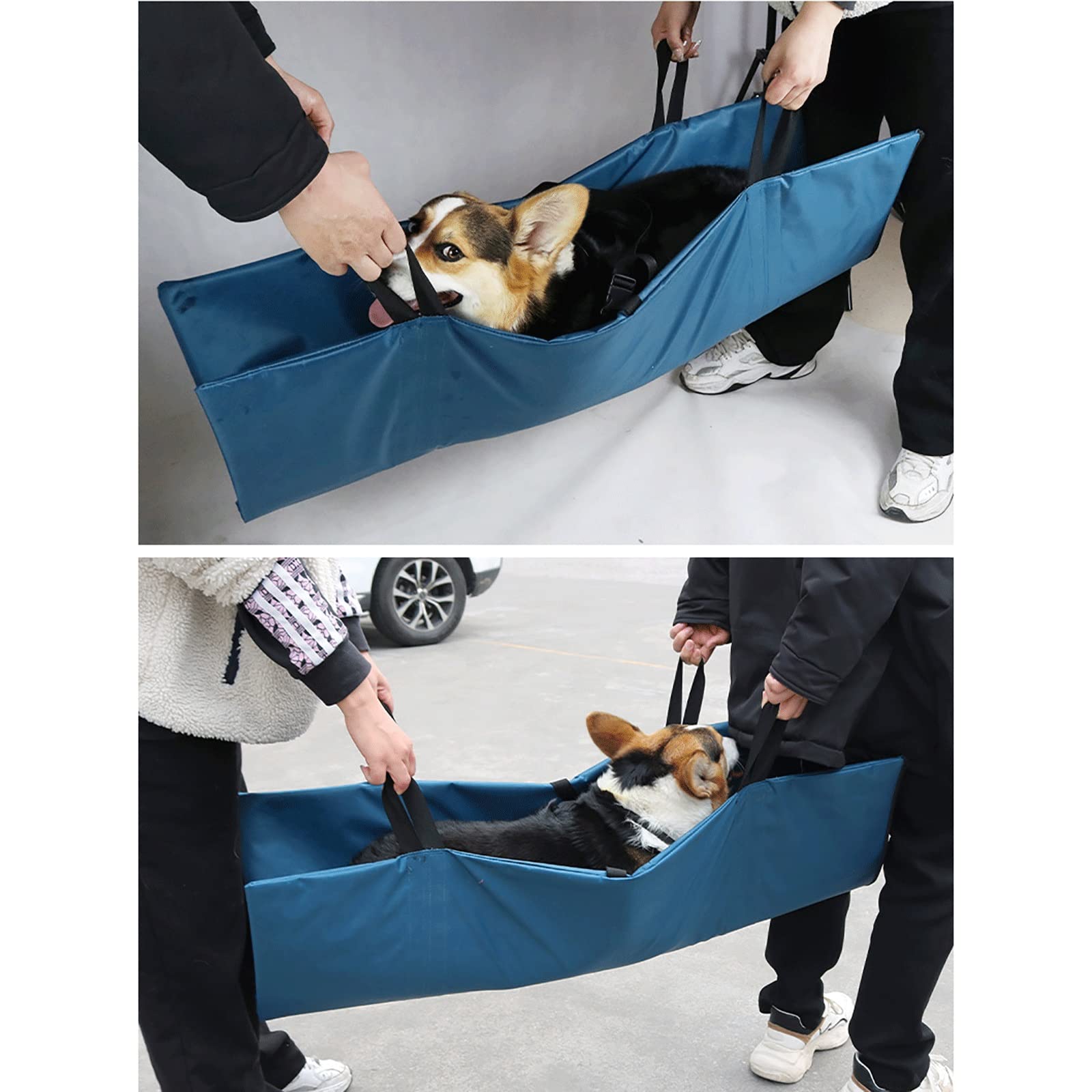 Barella Per Cani Per Il Trasporto, Barella Pieghevole Per Il Trasporto Di Animali Domestici Barella Per Animali Di Emergenza Con Cinghia Di Sicurezza Per Mantenere Il Tuo Animale Domestico Al Sicuro