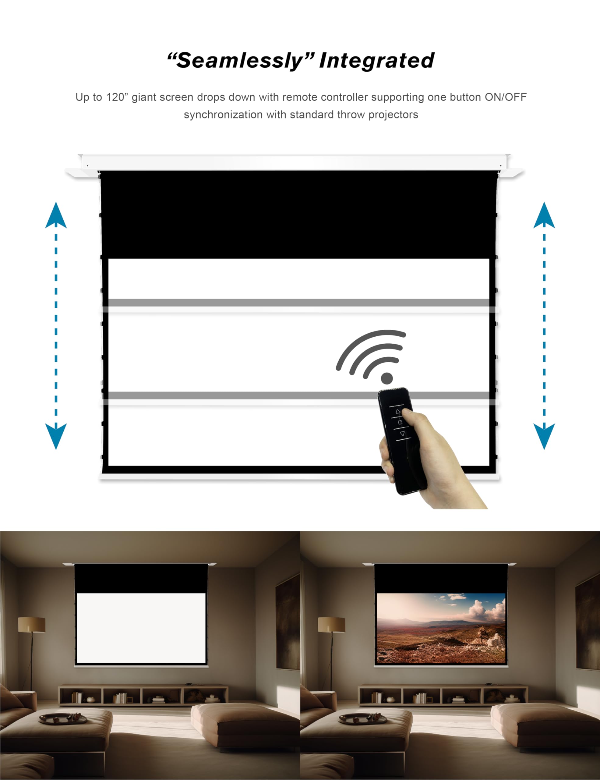 Amazon.com: VIVIDSTORM Since 2004-100