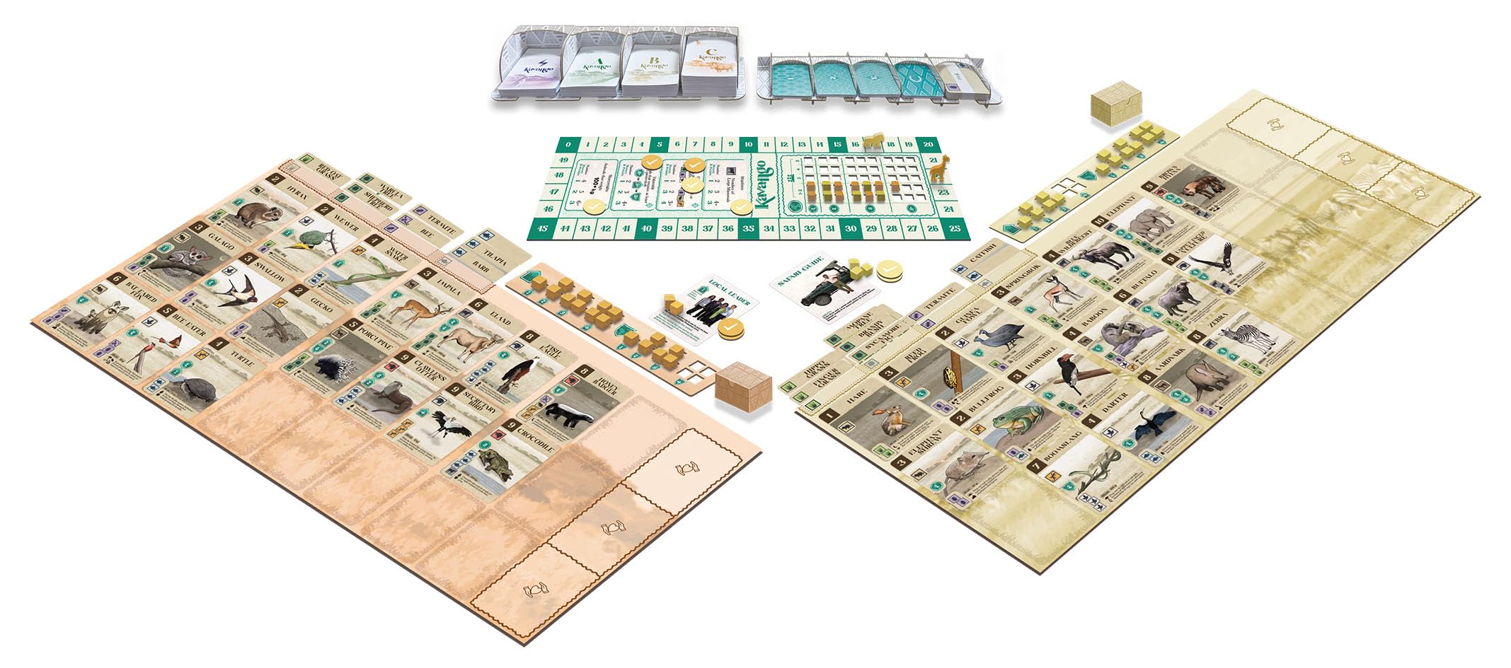 Asmodee, KAVANGO, Mazaza Games, ekspercka gra strategiczna, stwórz swój rezerwat przyrody w Afryce, od 10 lat, od 1 do 5 graczy, 40-60 min, wersja francuska