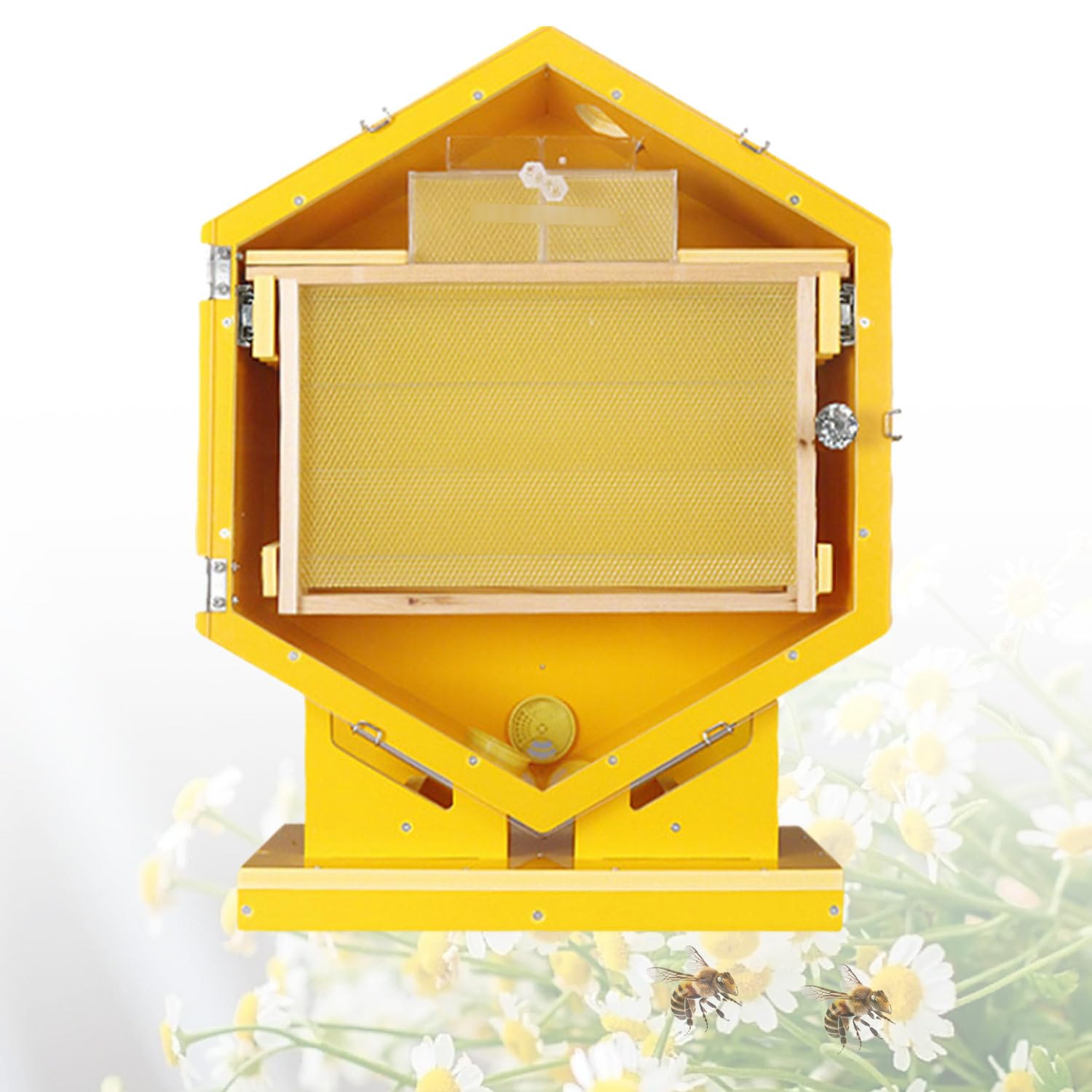 Ruche en Bois, kit de démarrage Pour Ruche d'observation Avec 6 cadres à rayons de Miel ; Ruche hexagonale Pour Les passionnés d'apiculture et Les exploitations apicoles.
