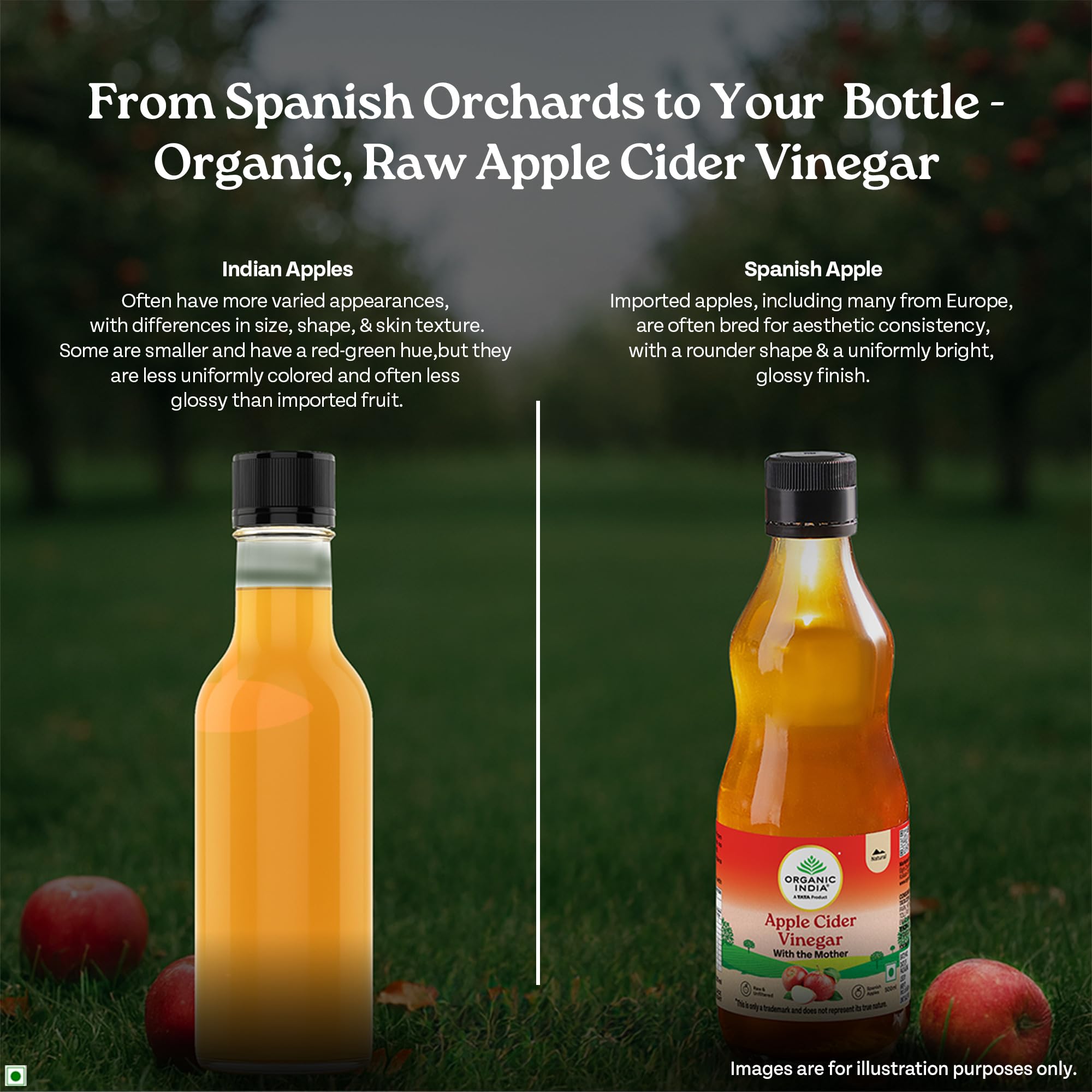 Organic India Apple Cider Vinegar with Mother of Vinegar, 500ml | Raw and Unfiltered ACV | Lab tested on 250+ Parameters | Made from Spanish Apples | Imported from Spain 2