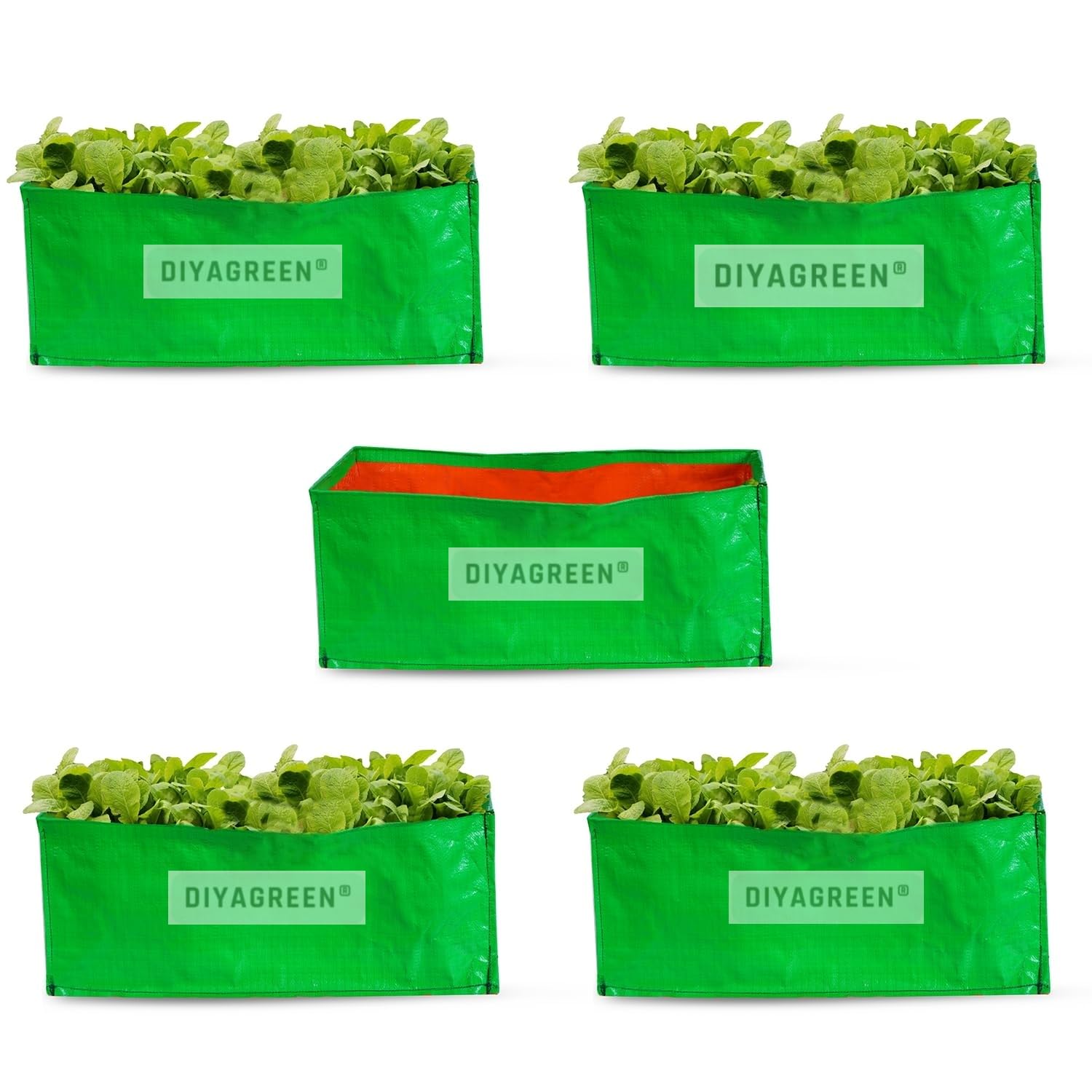 Grow Bags for Vegetables & Flowers - DIYAGREEN -16