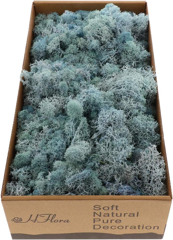 Natural Norwegian Reindeer Moss Preserved Dried Moss Craft Flower Stamen Indoor Outdoor Decoration (Light Blue)