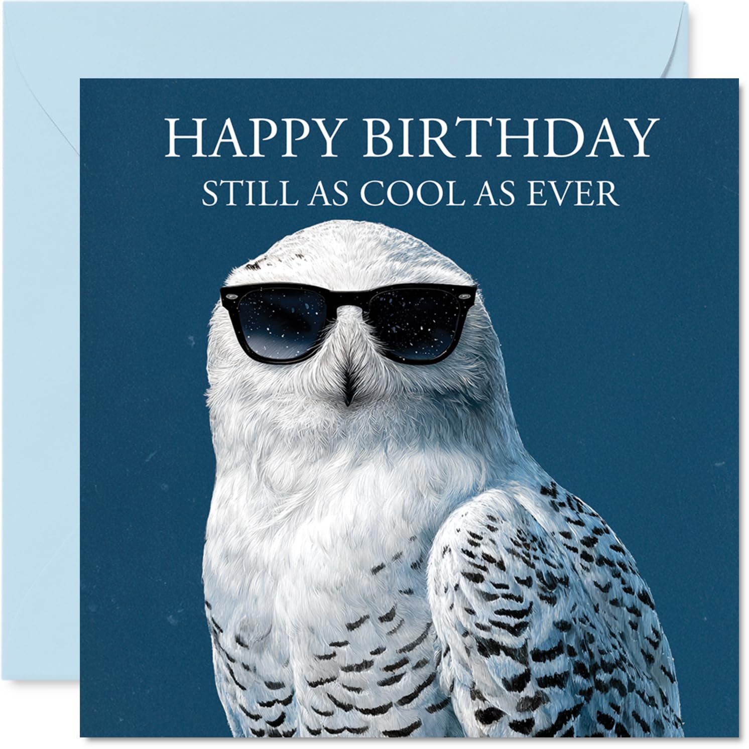 Owl Birthday Card for Men Women - Cool Animals - Happy Birthday Card for Sister Husband Wife Grandad, 145mm Bday Greeting Cards