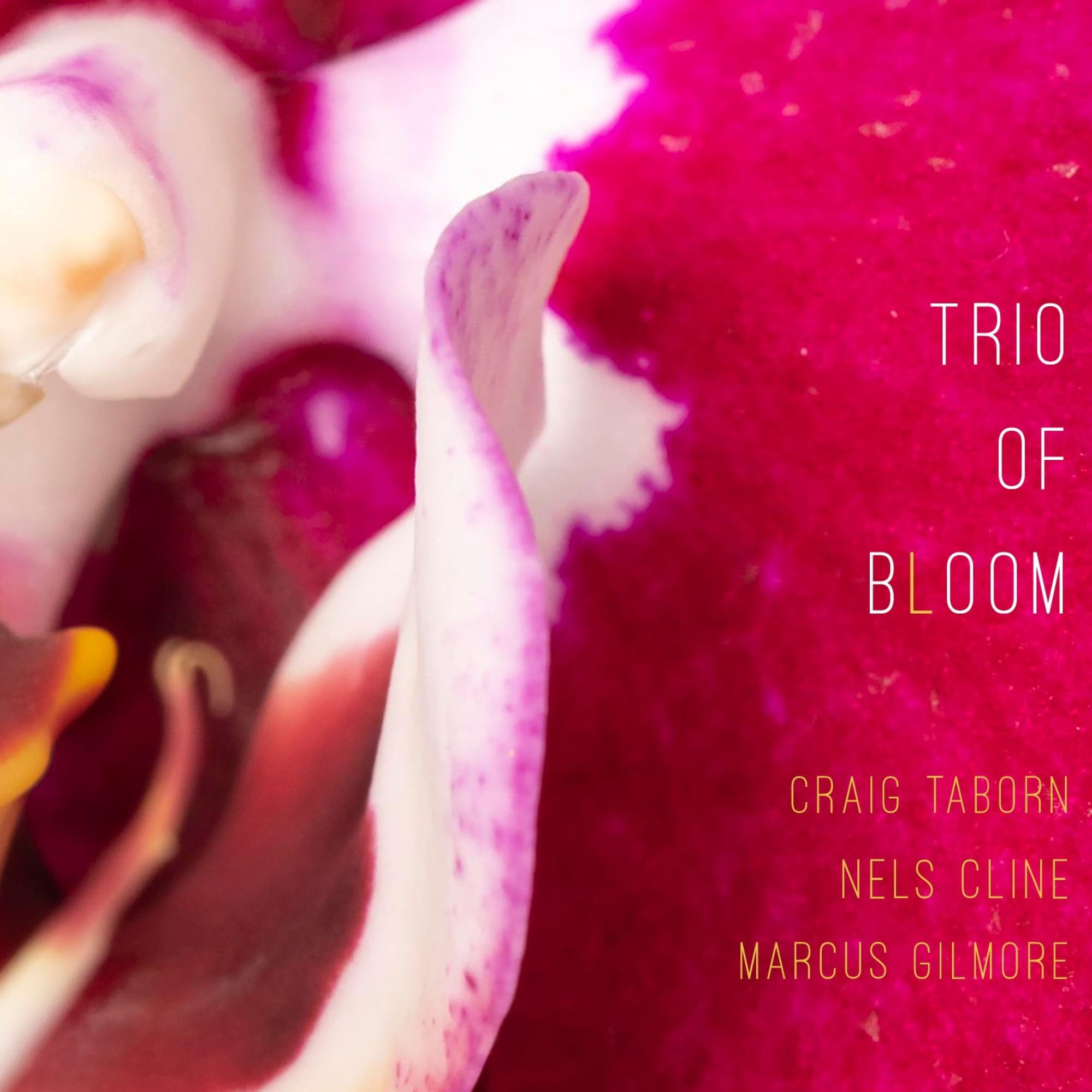 TRIO OF BLOOM - Trio Of Bloom - CD