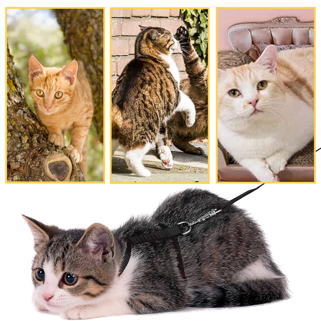 Imbracature Per Gatti 1 Pezzo Nero 120Cm Antifuga Regolabile Leggero Morbido Per Viaggi Passeggiate