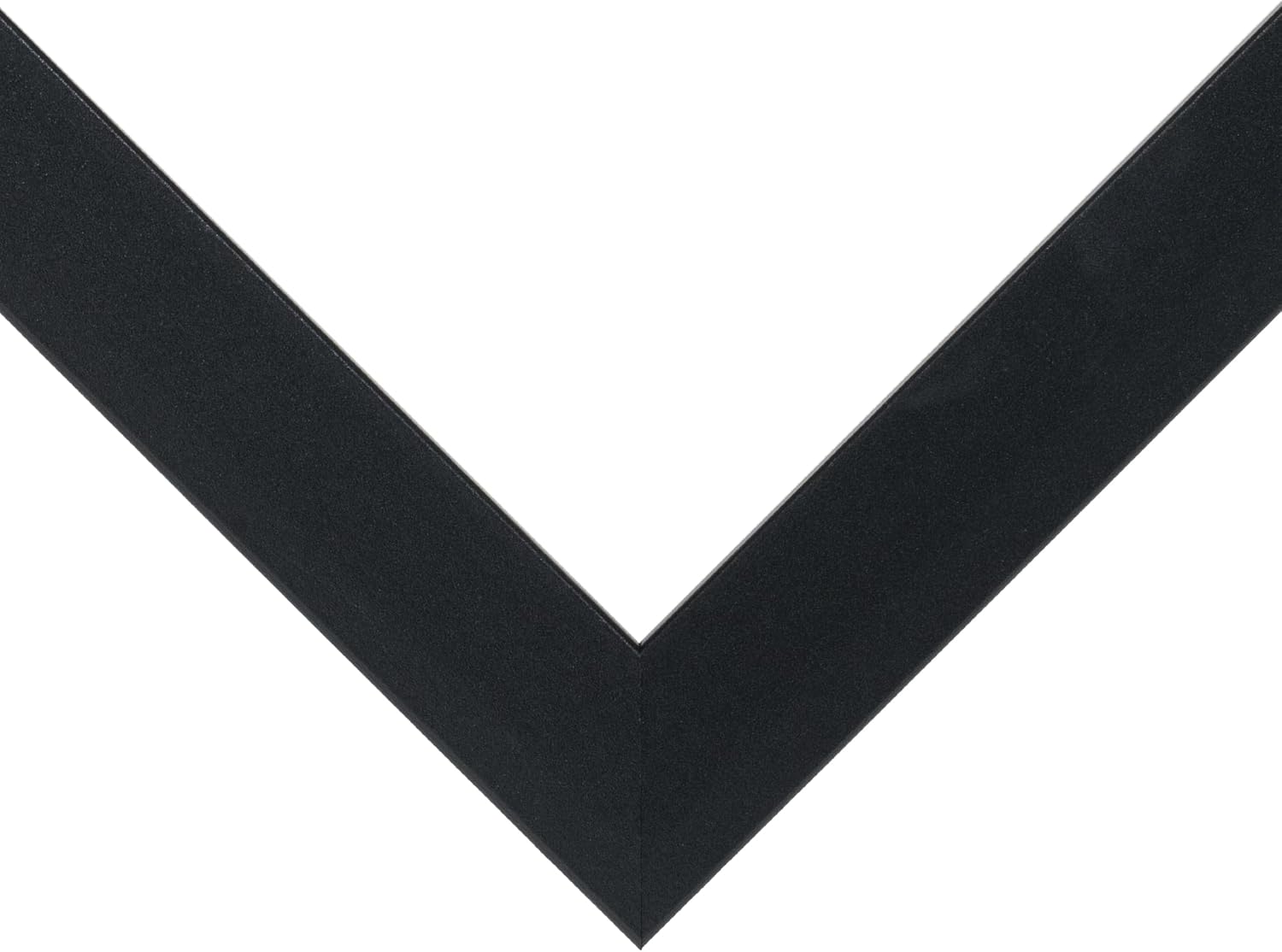 Craig Frames WallsThatSpeak 24x36 Poster Frame, Black Frame for Vertical and Horizontal Formats, Clear Plexiglass