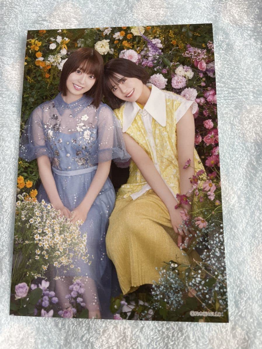 Amazon.co.jp: 乃木坂46 2022年壁掛けカレンダー特典ポストカード 清宮  