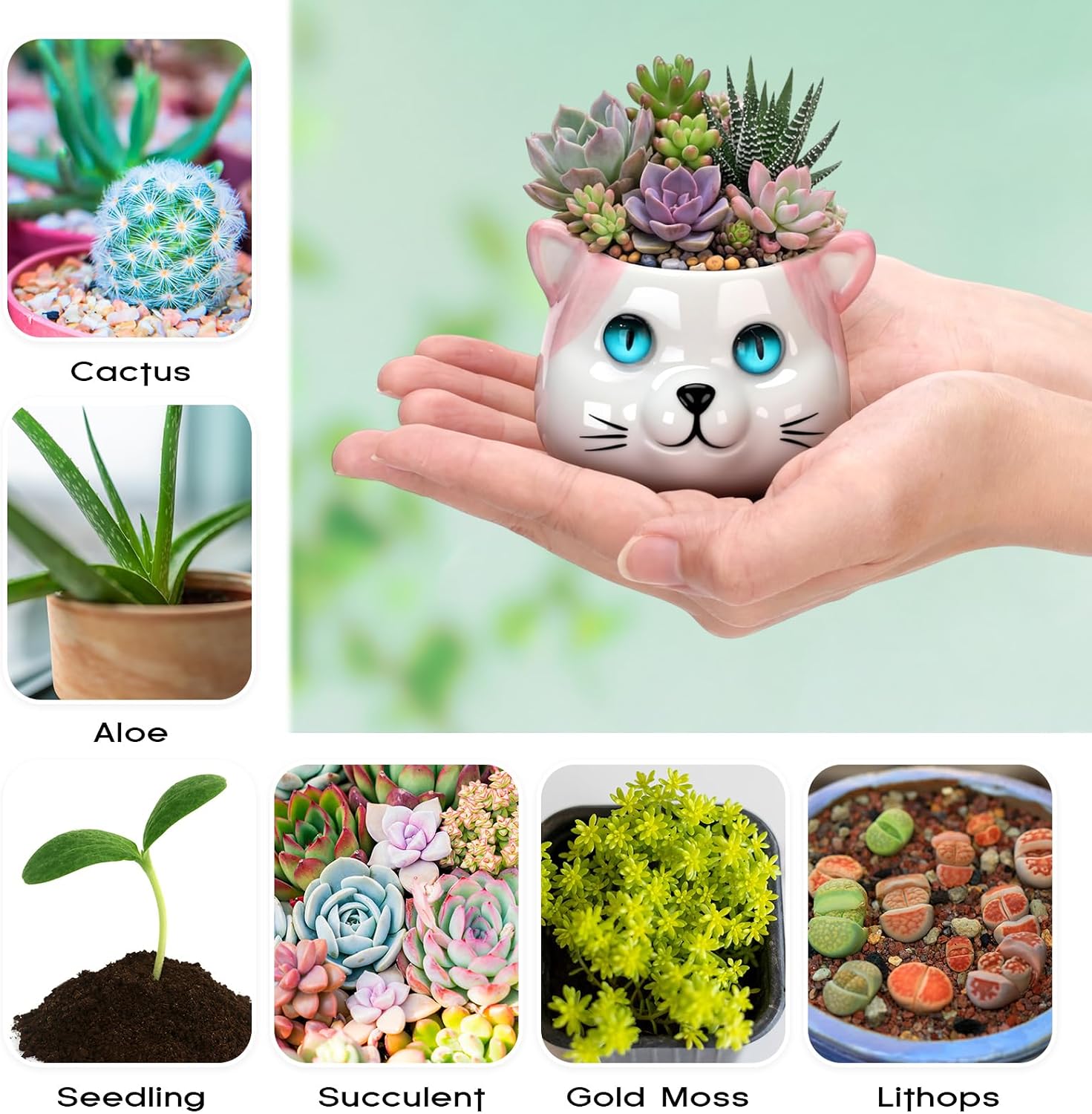 Cindeer 18 Pcs 2.5 Inch Cat Ceramic Succulent Planter Pots – Cute Cat Small Pots with Drainage Hole and Bamboo Tray for Succulents, Cactus, Home Garden Office Desk Decoration Gift Ideas