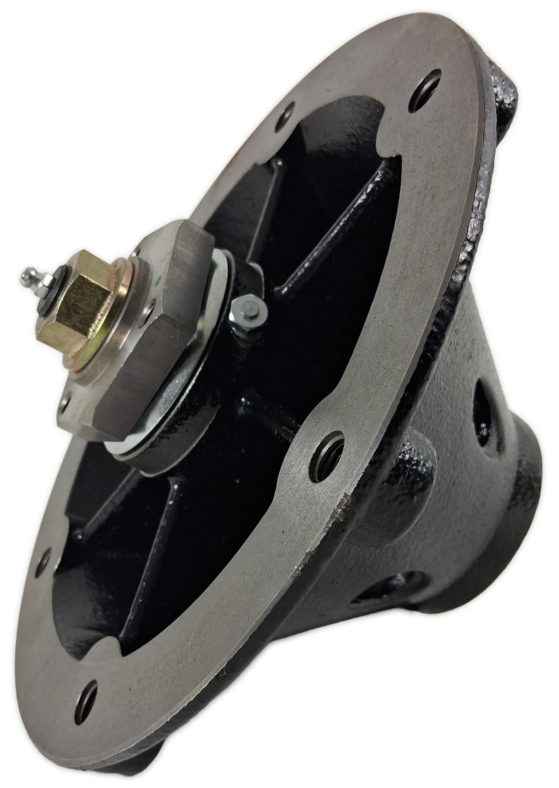 Amazon.com : Single Cylinder Repair Genuine OEM Iron Spindle Assy
