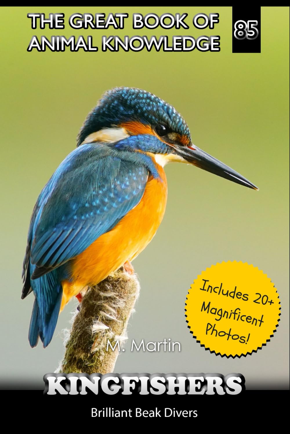 Kingfishers: Brilliant Beak Divers (The Great Book of Animal Knowledge (Packed With Facts & Stunning Photos for Kids!))