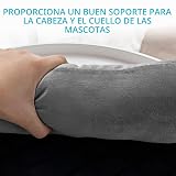 Ver la foto 4