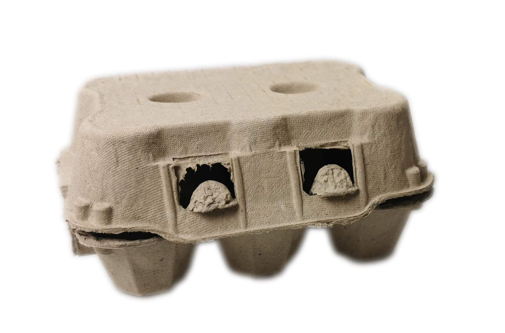 Ingbertson Papas para huevos – 50 unidades para 6 huevos cada uno | Cajas de cartón resistentes | Transporte y almacenamiento seguro de huevos de gallina (gris)